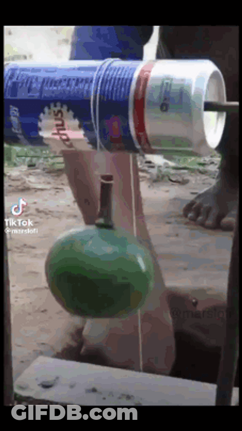 Bird Trap Falling In Backrooms Meme GIF