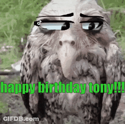 Bird Wearing Sunglasses Saying Happy Birthday GIF