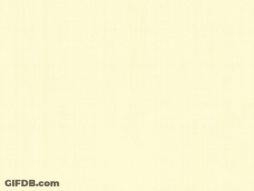 Bird Wing With Lines GIF