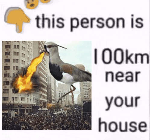 Bird With Flame From Beak Saying This Person Is 100Km Near Your House GIF