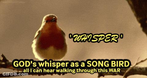 Bird With God's Whisper As A Song Bird All I Can Hear Walking Through This War GIF