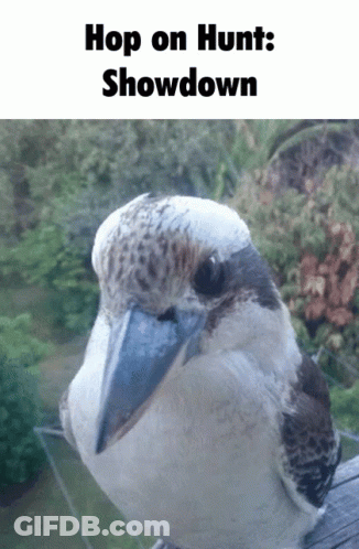 Bird With Hop On Hunt Showdown GIF