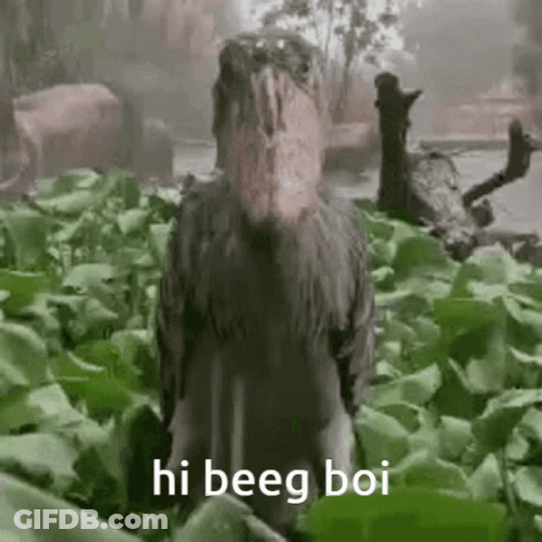 Bird With Long Beak In Green Leaves GIF