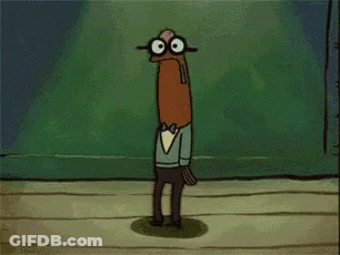 Bird With Long Beak Looking At Camera GIF