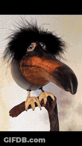 Bird With Long Beak Sitting On Branch GIF
