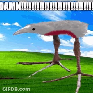 Bird With Long Legs Standing In Field GIF