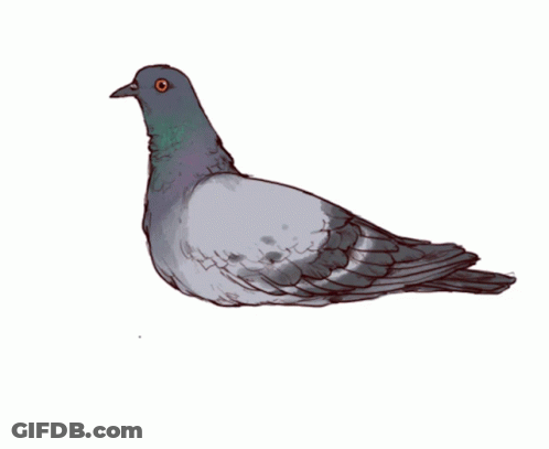 Bird With Outstretched Wings GIF