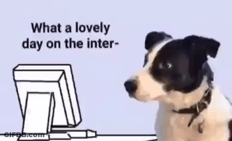 Bird With Scarf Saying Proud Of You GIF