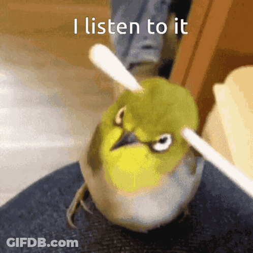 Bird With Stick On Head Saying I Listen To It GIF