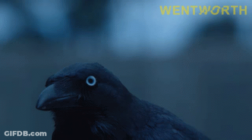 Bird With Wortwood Text GIF