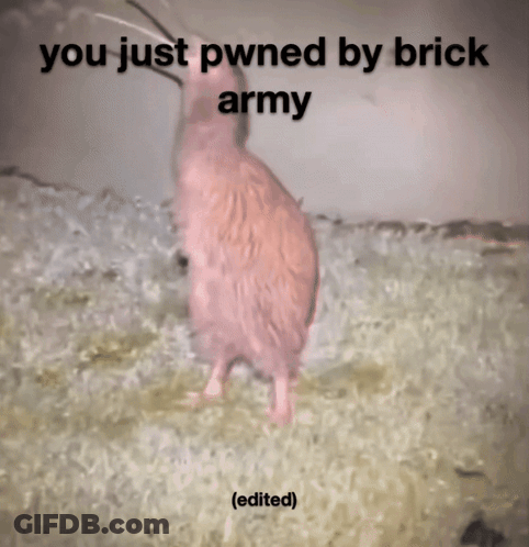 Bird You Just Pwned By Brick Army GIF