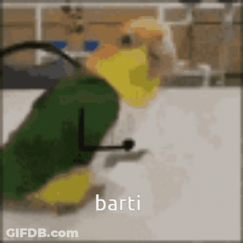 Birdman GIF