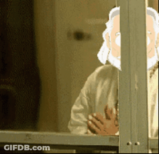 Birdman GIF