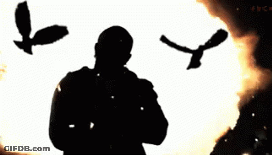Birdman GIF
