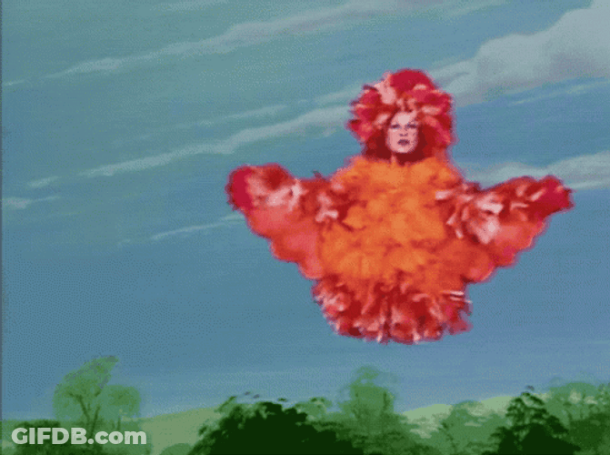 Birdman GIF