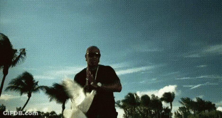 Birdman GIF
