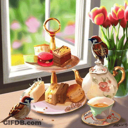 Birds Boston Tea Party GIF