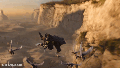 Birds Flying Over Cliff GIF