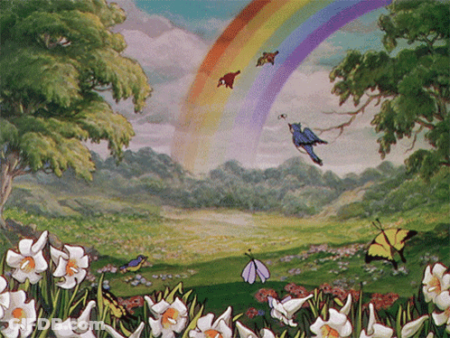Birds Flying Over Rainbow Flower Field GIF
