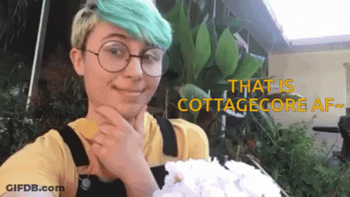 Birds Flying Over Rainbow Flowers GIF