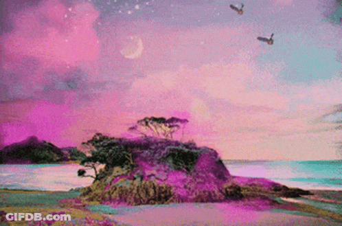 Birds Flying Over Small Island In Ocean GIF