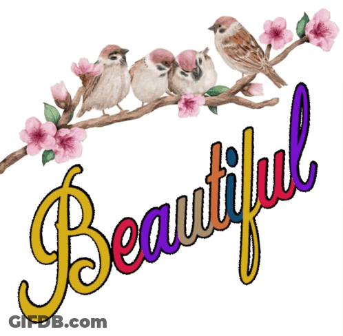 Birds On A Branch Saying Beautiful GIF