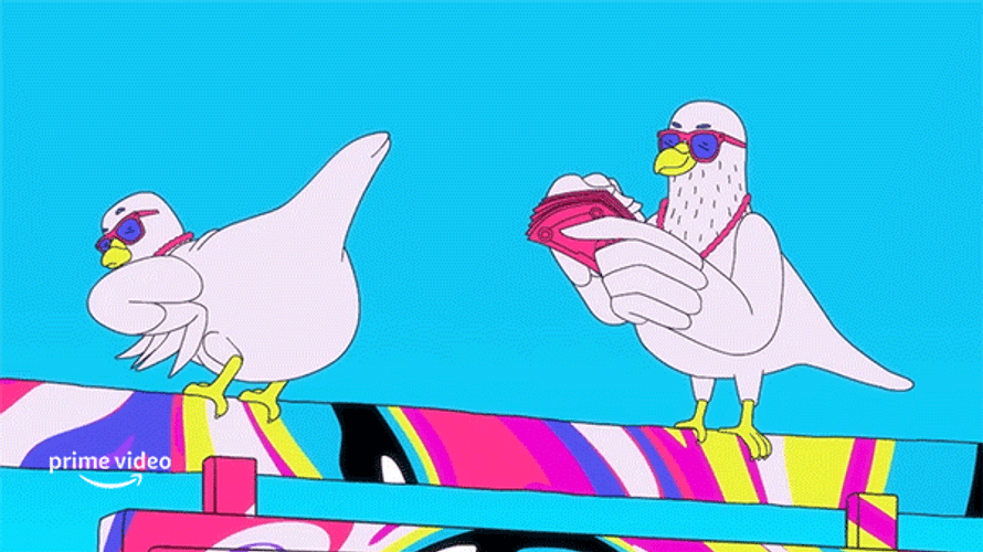 Birds On Vibe GIF