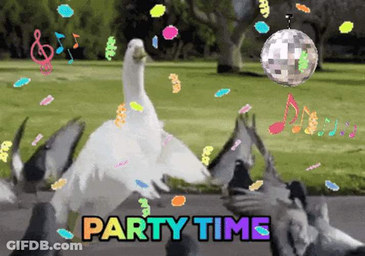 Birds Party Time Dancing With Confetti Animation GIF