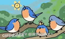 Birds Sitting On Tree Branch Singing GIF