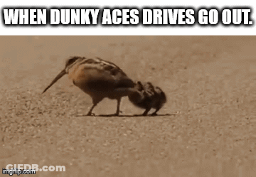 Birds Standing Together Saying When Dunky Aces Drives Go Out GIF
