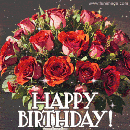 Birthday Birthday Wishes GIF