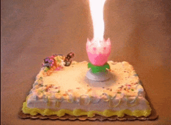 Birthday Cake Flower Candle GIF