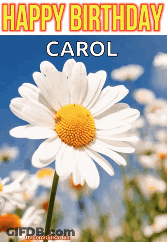 Birthday Card For Carol With White Daisy GIF