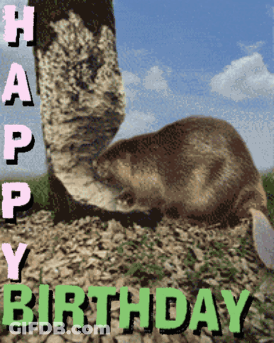 Birthday Card With Beaver GIF