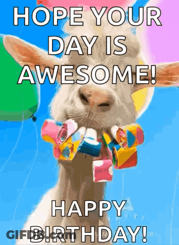 Birthday Card With Goat Holding Balloons And Party Horns GIF