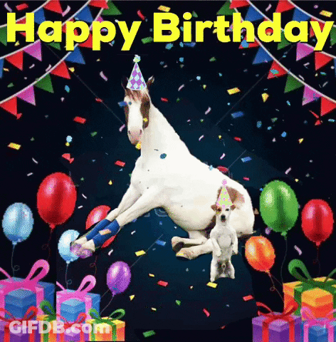 Birthday Card With Horse And Dog GIF