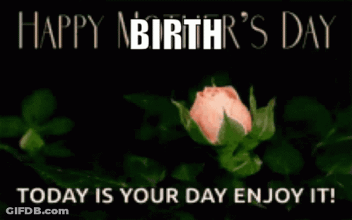Birthday Card With Pink Rose GIF