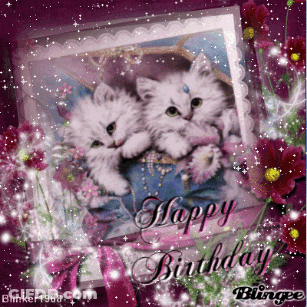 Birthday Card With Two White Kittens And Happy Birthday GIF