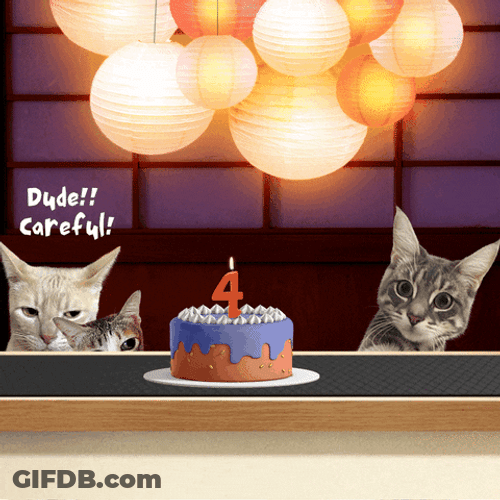Birthday Cat Funny Conversation GIF