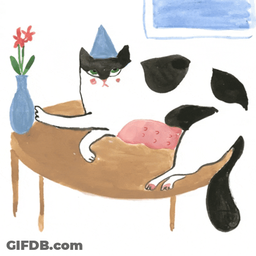 Birthday Cat Illustration Art GIF