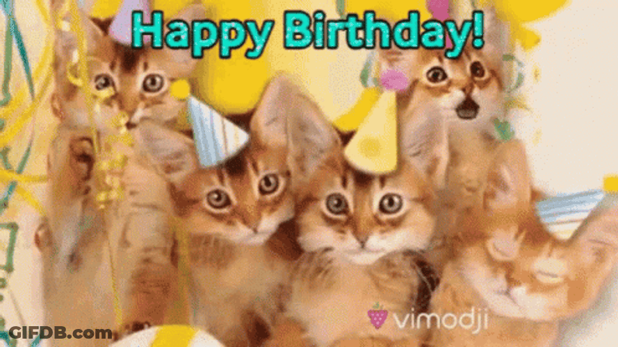 Birthday Cat Kittens Singing Happily GIF