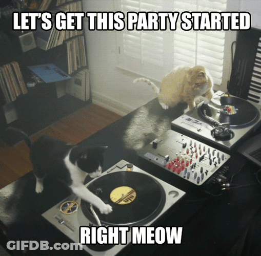 Birthday Cat Let's Get The Party Starting GIF