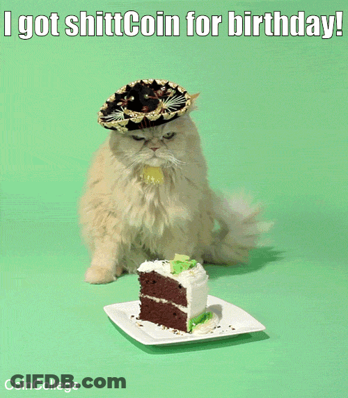 Birthday Cat ShittCoin Celebration GIF