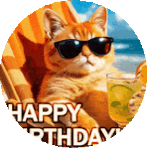 Birthday Cat Sticker GIF