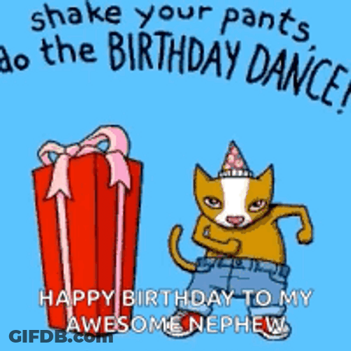 Birthday Dance Cat And A Box GIF