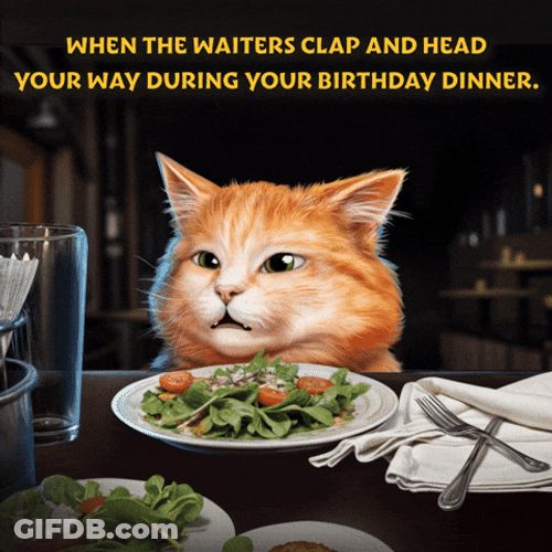 Birthday Dinner On A Funny Holiday GIF