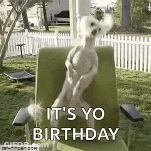 Birthday Funny GIF