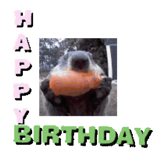 Birthday Geburtstag Sticker GIF
