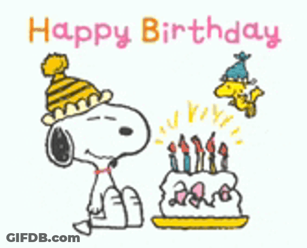 Birthday Meme GIF