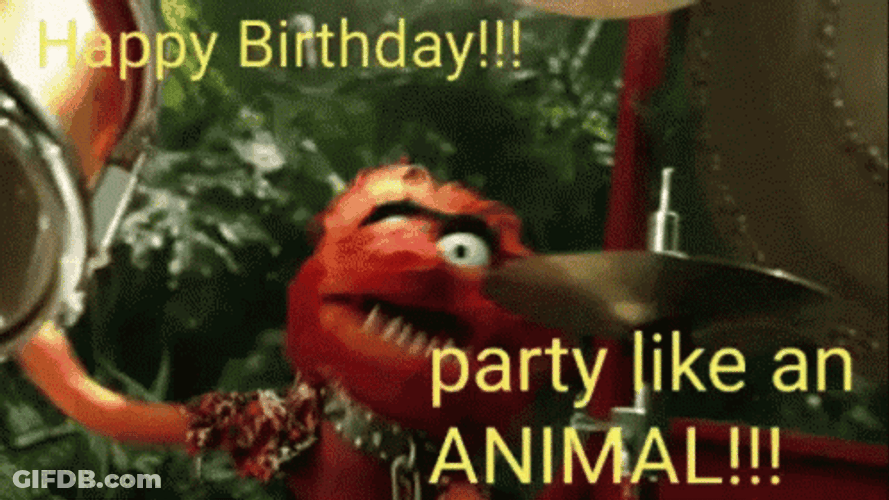 Birthday Party Celebrate Like An Animal GIF
